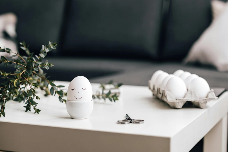 an egg sitting on top of a table next to a plant, inspired by Károly Patkó, happening, glossy white metal, little smile, salt shaker, placed in a living room