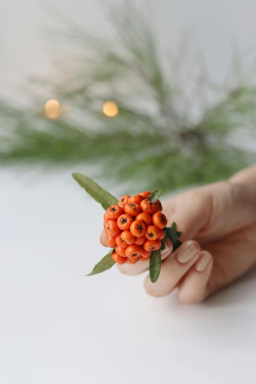 a close up of a person holding a flower, berries, ornament, very orange, petite