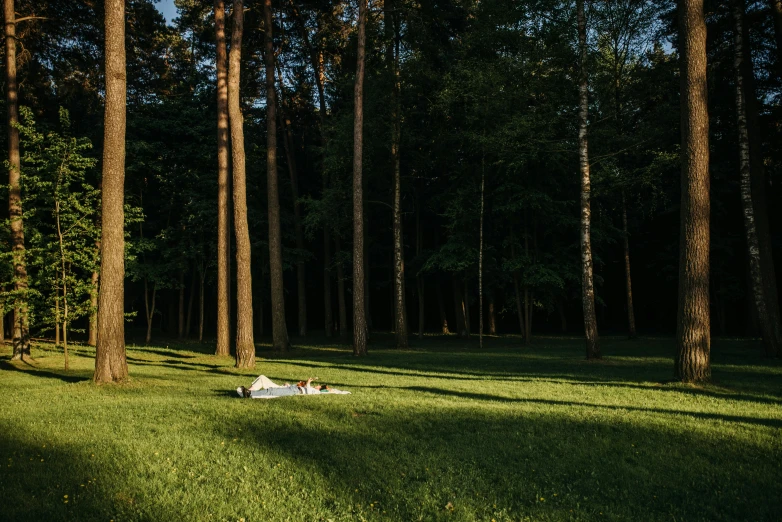 a person laying on a blanket in the middle of a forest, by Attila Meszlenyi, landscape architecture photo, summer evening, conde nast traveler photo, lawn