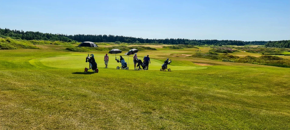 a group of people standing on top of a green field, wrx golf, nordic summer, clear and sunny, thumbnail