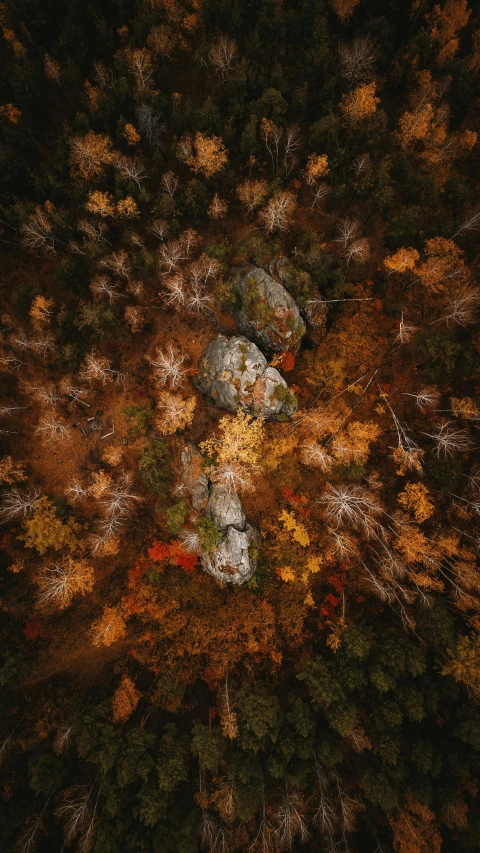 an aerial view of a forest in autumn, by Sebastian Spreng, unsplash contest winner, orange rocks, portrait shot 8 k, 15081959 21121991 01012000 4k, rocks