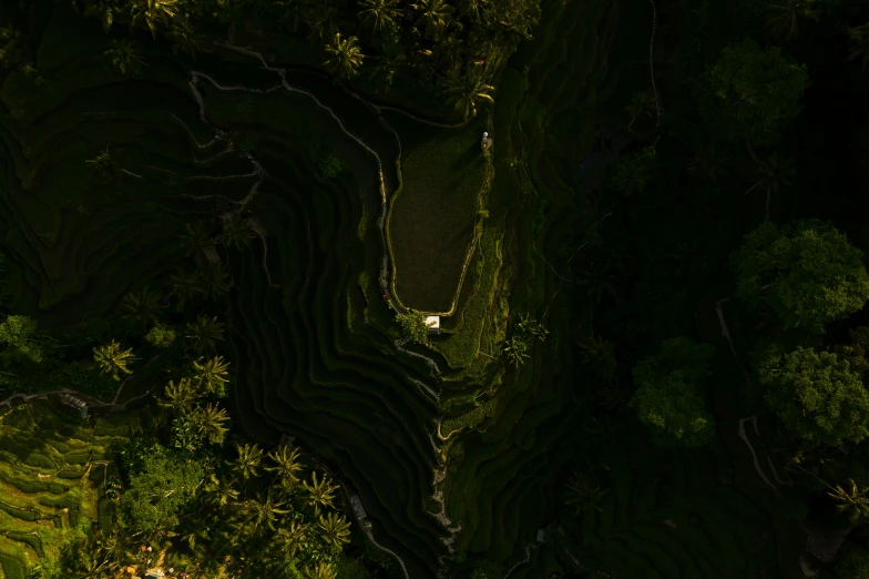 a bird's eye view of a river running through a lush green valley, by Tobias Stimmer, pexels contest winner, sumatraism, shadowy area, staggered terraces, glowing green, an architectural