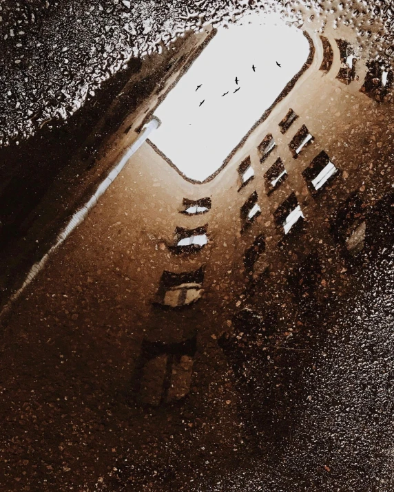 a street light reflecting in a puddle of water, an album cover, by Lucia Peka, unsplash contest winner, window ( city ), full building, brown water, instagram story