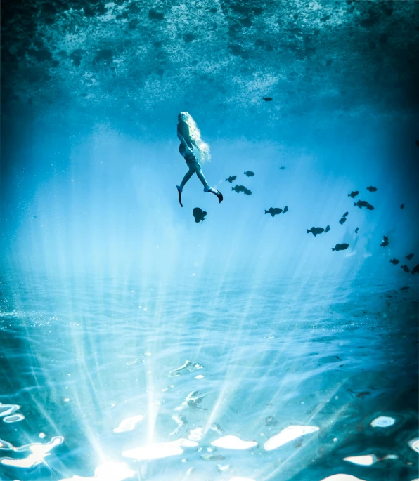 a person swimming in the ocean with a lot of fish, an album cover, by Sebastian Spreng, unsplash contest winner, play of light, full of glass. cgsociety, walking down, under blue