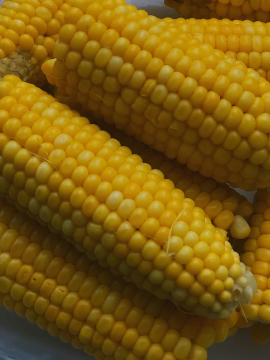 a white plate topped with corn on top of a table