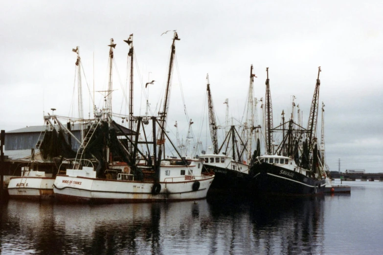 a number of boats in a body of water, rainy; 90's photograph, shrimp, daniel e. greene, fish seafood markets