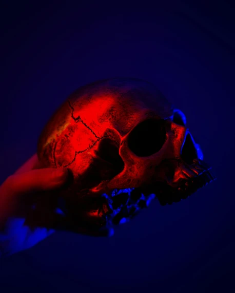 a person holding a skull in their hand, an album cover, by Julia Pishtar, pexels contest winner, red and blue black light, ((skull)), red, spectral color