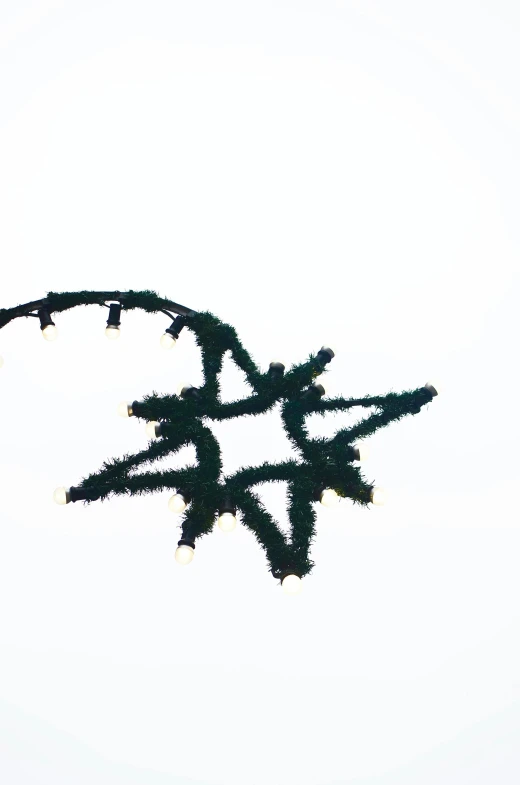 a black and white photo of a snowflake, a cartoon, by Attila Meszlenyi, pexels, green lights, communist starfish, set against a white background, ultra detailed wire decoration