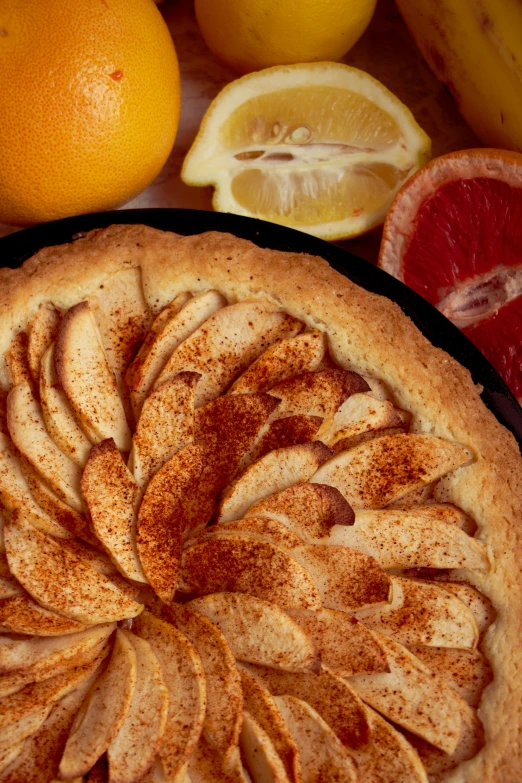 a pie sitting on top of a pan on top of a table, inspired by Gentile Bellini, renaissance, apple orange, detailed zoom photo, orange slices, full product shot