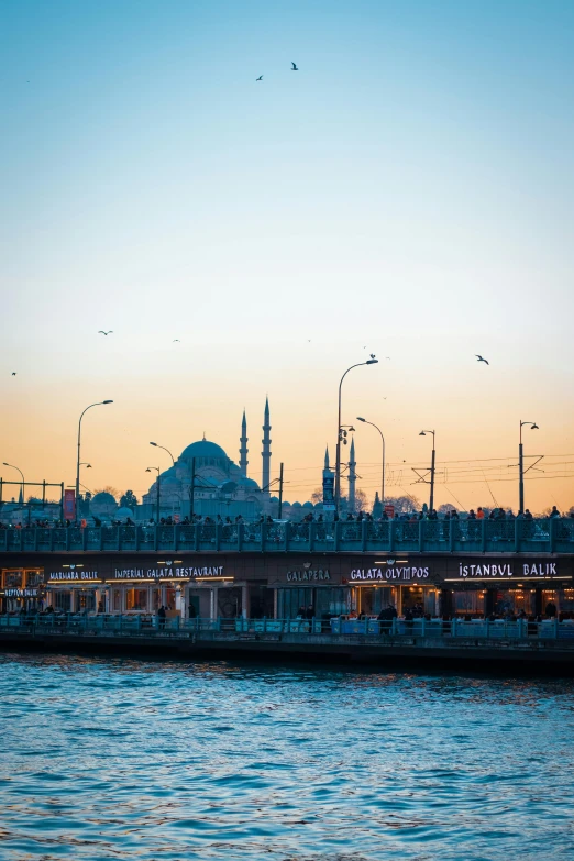 a large body of water next to a bridge, a colorized photo, by irakli nadar, pexels contest winner, hurufiyya, black domes and spires, late afternoon, city docks, turkey