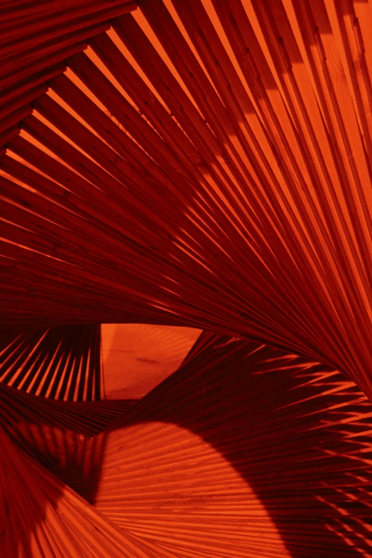 a close up of a piece of art on a wall, inspired by Christo, unsplash, kinetic art, volumetric lighting. red, palm, mexico, ceiling