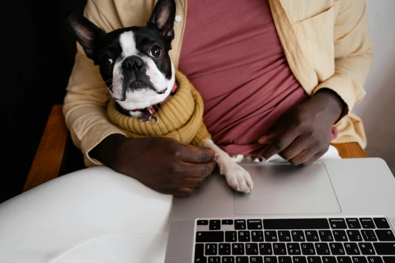 a dog that is sitting in front of a laptop, trending on pexels, man wearing a closed cowl, holding an epée, white male, multicolored