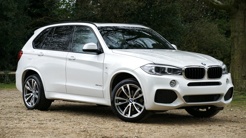 a white bmw suv parked on a dirt road, a picture, 4k photo”, porcelain skin ”