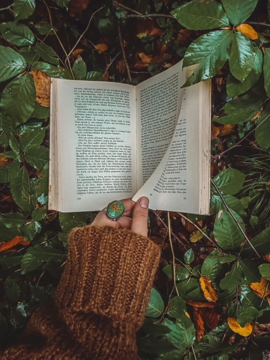 a person holding an open book in their hands, by Anna Haifisch, pexels contest winner, green and brown clothes, 🤠 using a 🖥, discovered in a secret garden, snapchat photo