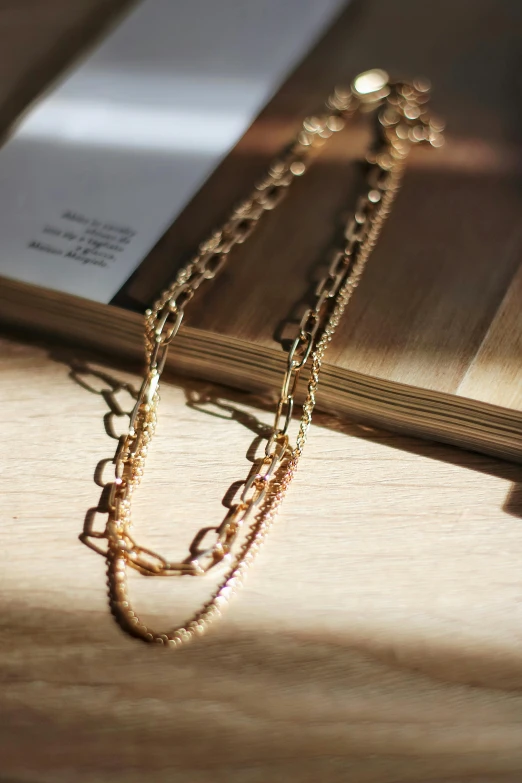 a book sitting on top of a wooden table, gold chain necklace, with dappled light, collection product, jovana rikalo