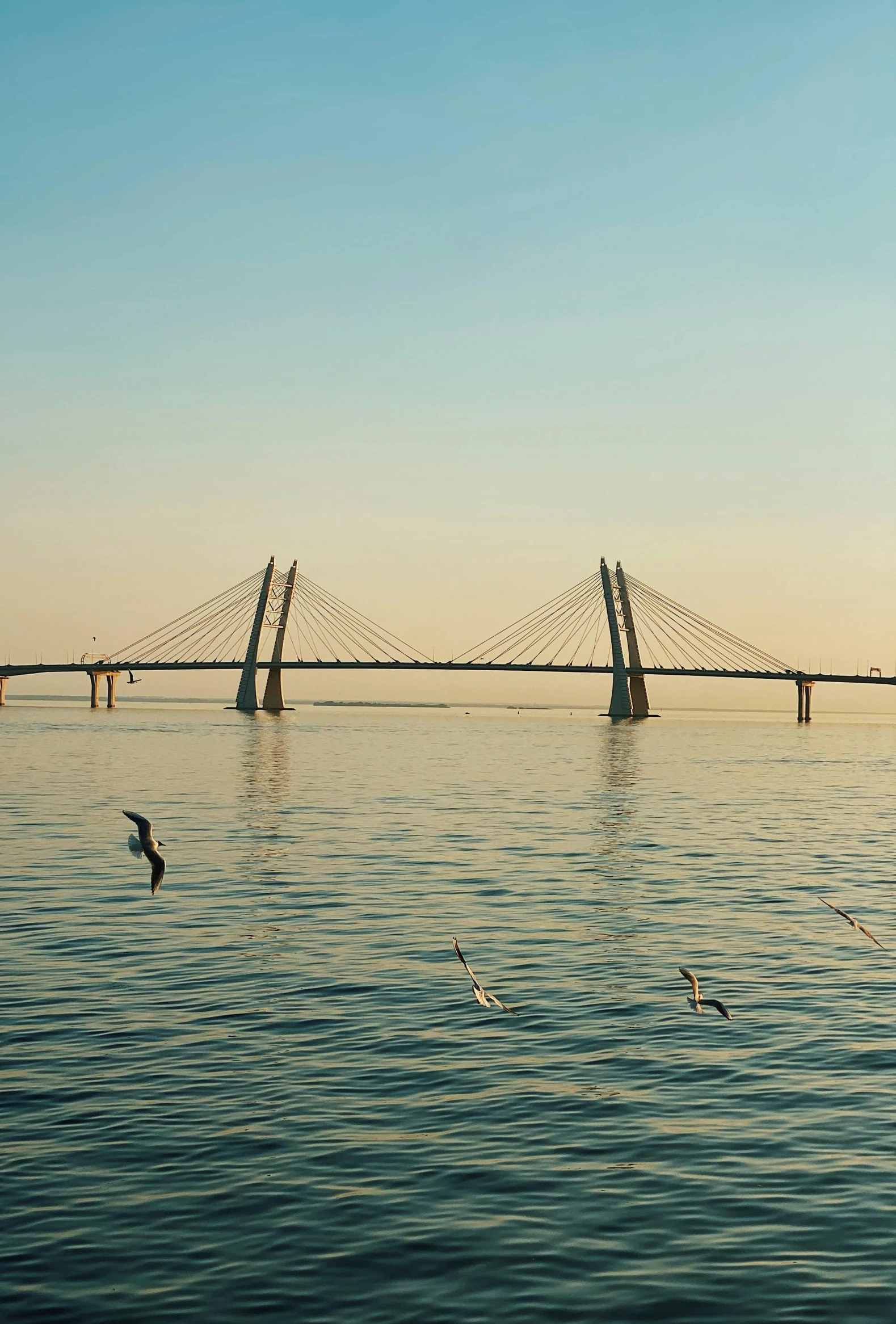 a group of birds flying over a body of water, bridge over the water, oman, 2022 photograph, saint petersburg