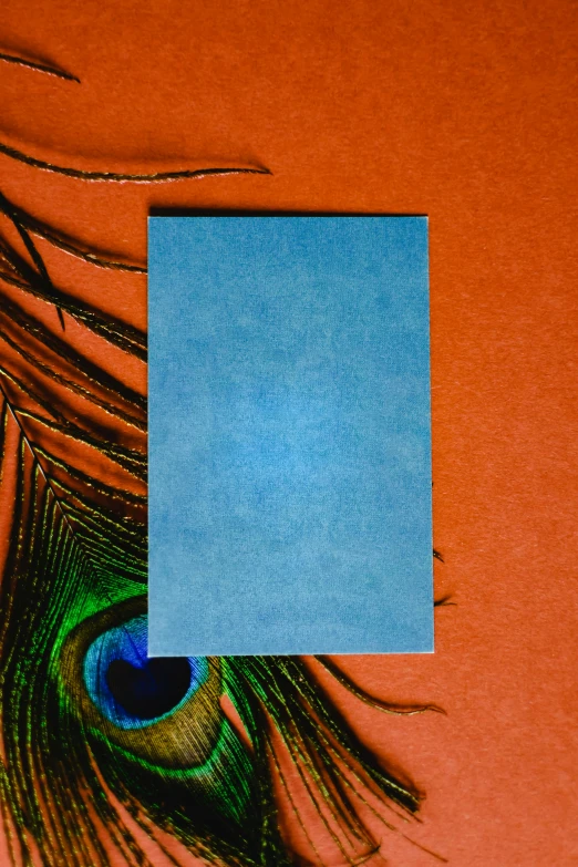 a piece of paper sitting on top of a peacock feather, orange and blue color scheme, portrait photo of a backdrop, handcrafted paper background, promo image