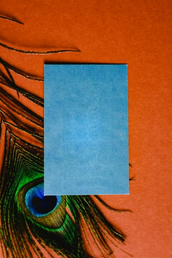 a piece of paper sitting on top of a peacock feather, orange and blue color scheme, portrait photo of a backdrop, handcrafted paper background, promo image