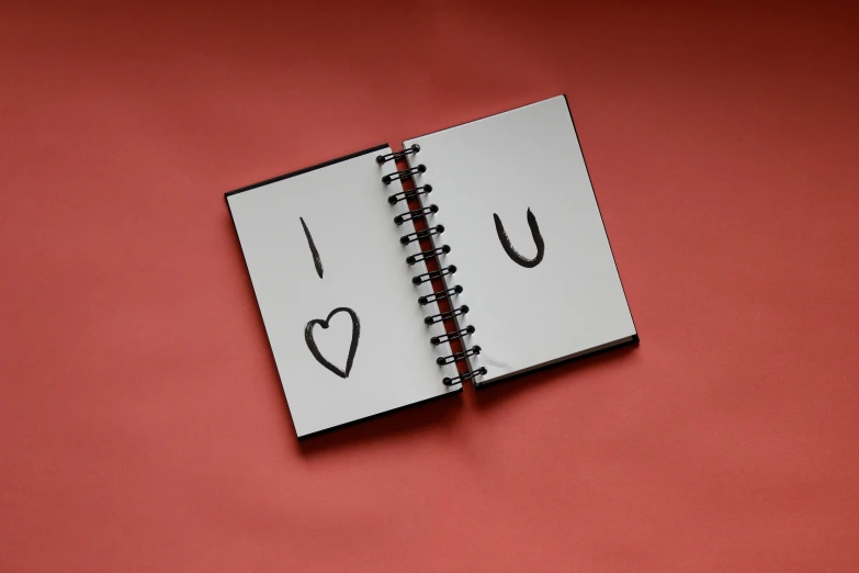a notebook with i love u written on it, an album cover, pexels, couple, lightbox, hidden message, single character