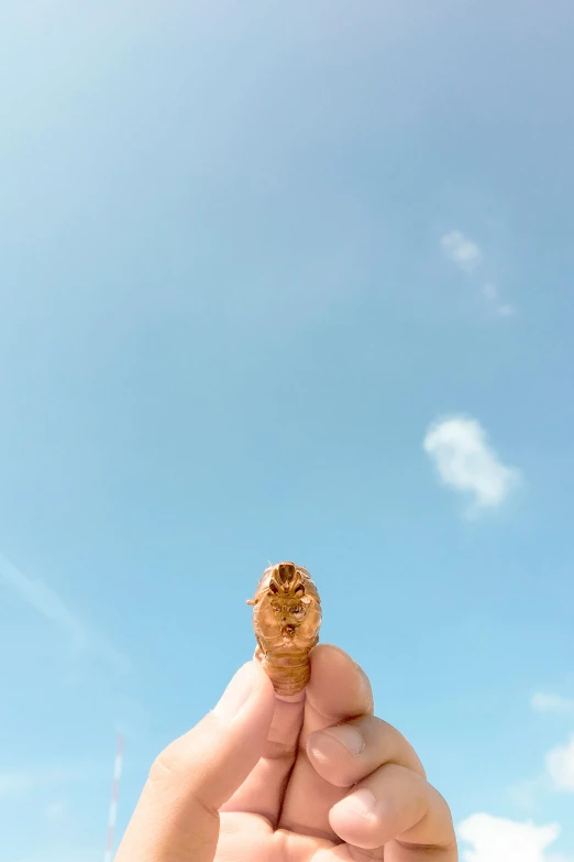 a person holding an ice cream cone in their hand, by Peter Churcher, clear sky above, larvae, vacation photo, holding gold