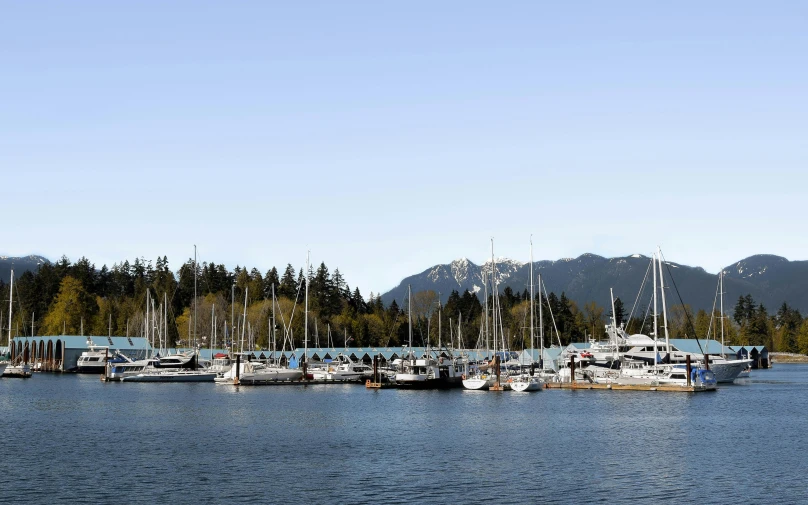 a large body of water filled with lots of boats, pexels contest winner, vancouver school, thumbnail, 8 k -, maple syrup sea, 1 2 9 7