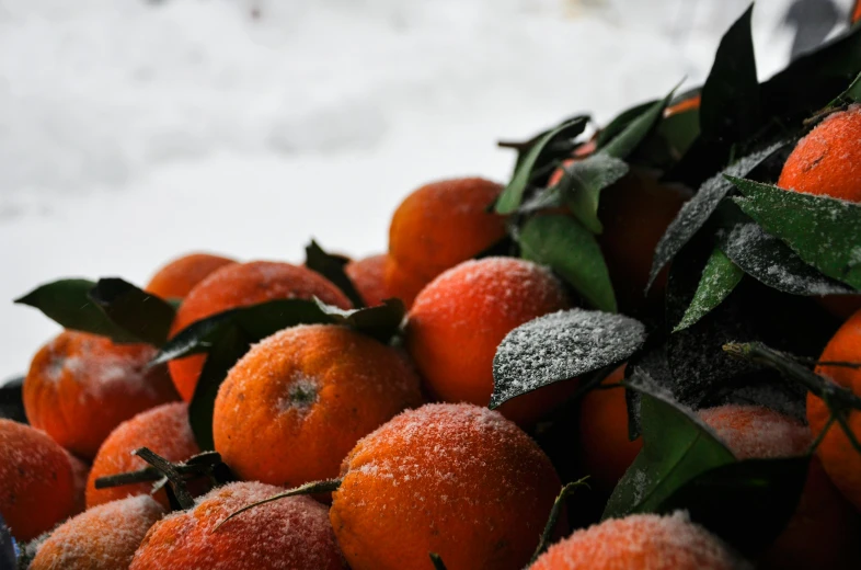 a pile of oranges sitting on top of a pile of snow, by Carey Morris, pexels contest winner, it's raining outside, thumbnail, background image, berries inside structure