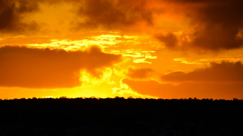 a couple of giraffe standing on top of a lush green field, by Joe Stefanelli, pexels contest winner, australian tonalism, sunset panorama, nuclear explosion on the horizon, with a bright yellow aureola, big island