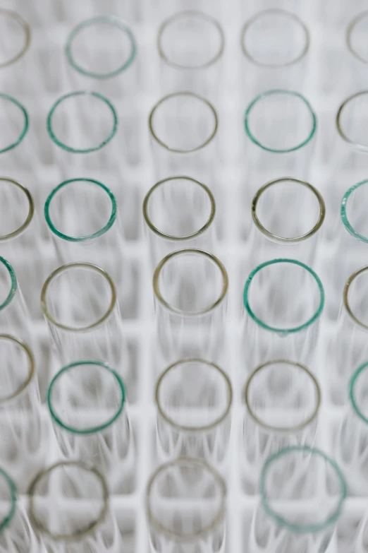 a bunch of glasses sitting on top of a table, a microscopic photo, photographed for reuters, pathology sample test tubes, single panel, round-cropped