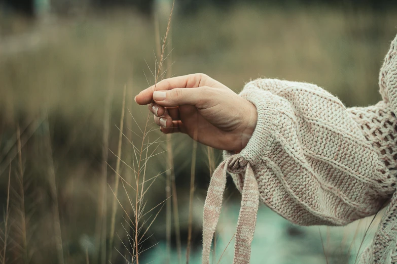 a close up of a person holding a plant, by Anna Boch, unsplash, naturalism, rocky grass field, wearing sweater, soft colours, whip in hand