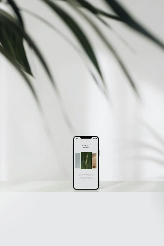 a phone sitting on top of a table next to a plant, unsplash contest winner, elegant clean design, front profile shot, app design, collection product