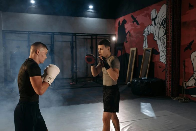 a couple of men standing next to each other in a room, boxing stance, avatar image, artem chebokha, profile image