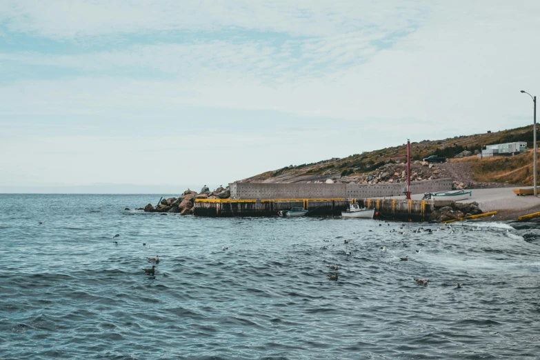 a large body of water next to a beach, by Carey Morris, pexels contest winner, les nabis, small dock, seals, 2 5 6 x 2 5 6 pixels, urban surroundings