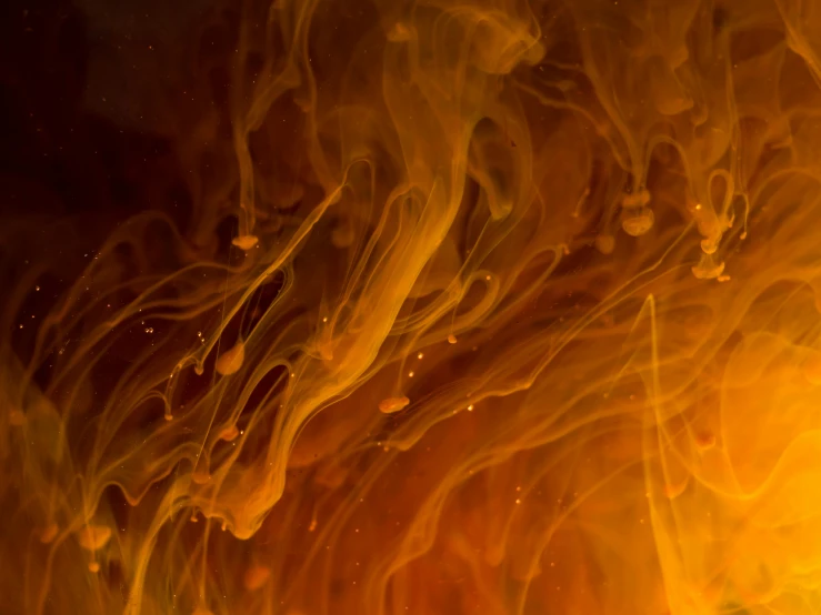 a close up of an orange liquid substance, pexels, abstract expressionism, flames, paul barson, spaghettification, golden mist