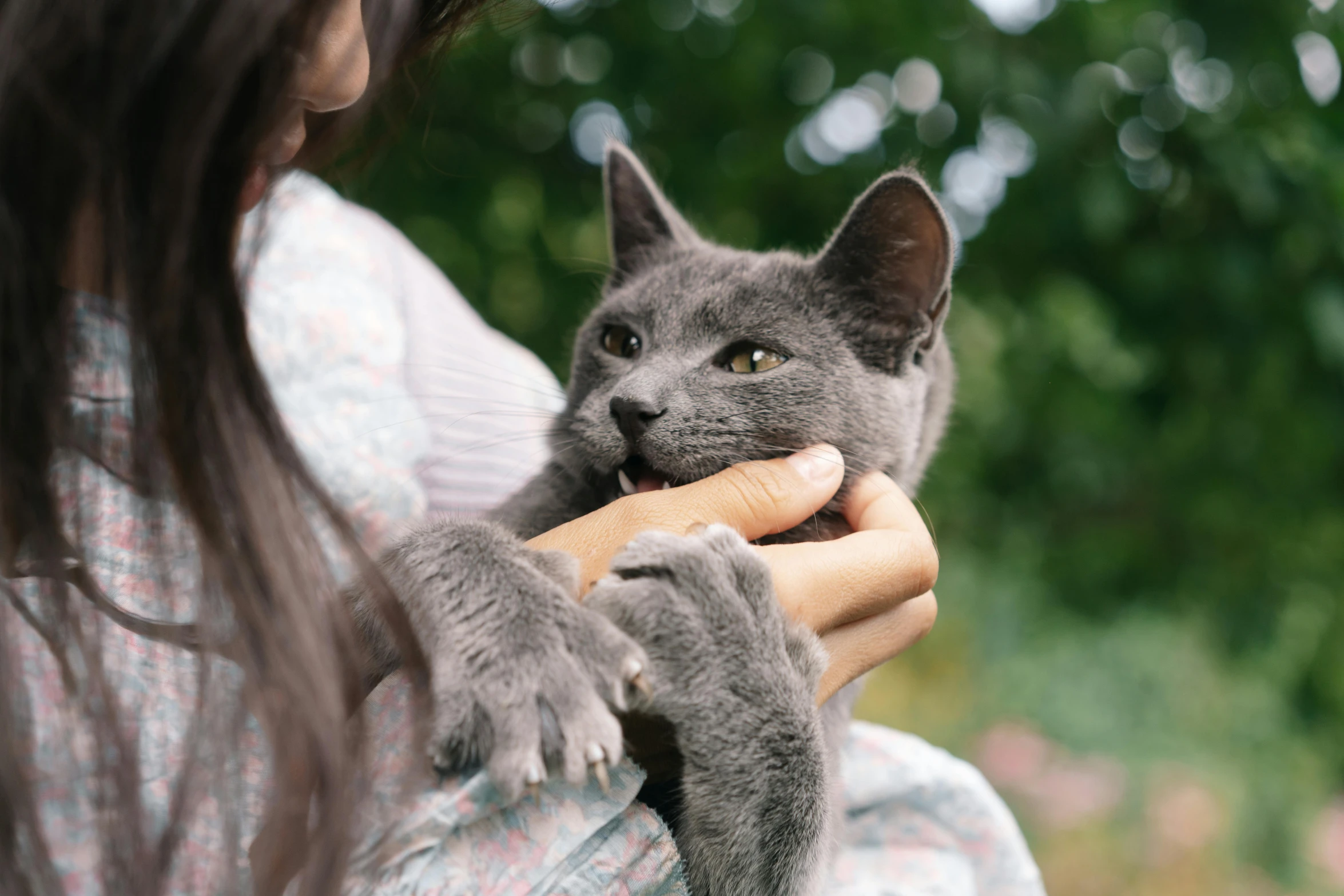 a close up of a person holding a cat, blue and grey, grey, instagram picture, shot with sony alpha