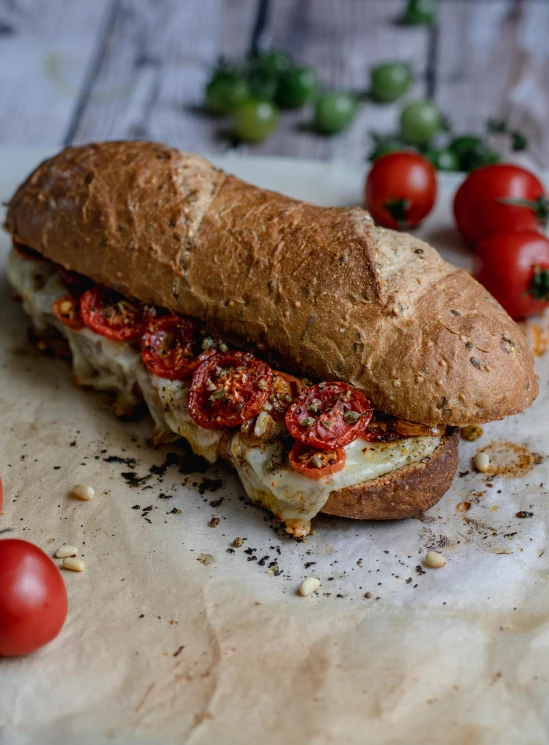 a sub sandwich sitting on top of a cutting board, by Adam Marczyński, pexels contest winner, renaissance, plenty mozzarella, large cornicione, full length shot, ‘luca’