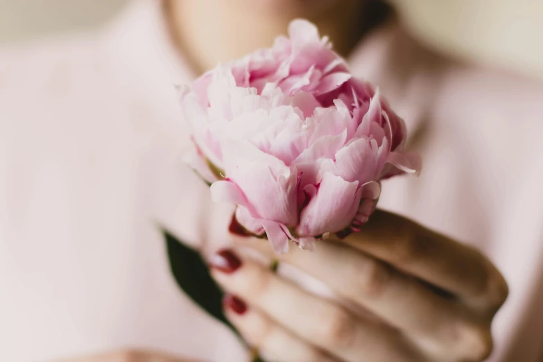 a woman holding a pink flower in her hands, pexels contest winner, peony, fan favorite, rose quartz, woman holding another woman