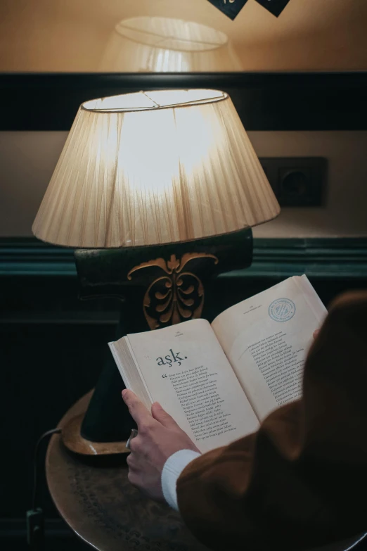 a person reading a book in front of a lamp, neutral lighting, inside a grand, knowledge, lit from the side