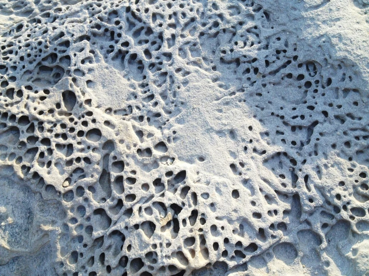 a close up of a rock with holes in it, an album cover, inspired by Vija Celmins, unsplash, concrete art, fractal lace, deserted sand, biomechanical corals, white lava
