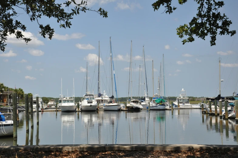 a number of boats in a body of water, tall broad oaks, sun coast, outdoor photo, full res