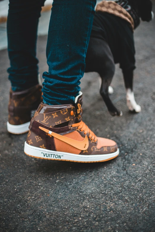 a person standing next to a dog on a leash, an album cover, by Niko Henrichon, trending on pexels, renaissance, air jordan 1 high, louis vuitton, sneaker photo, wearing a brown