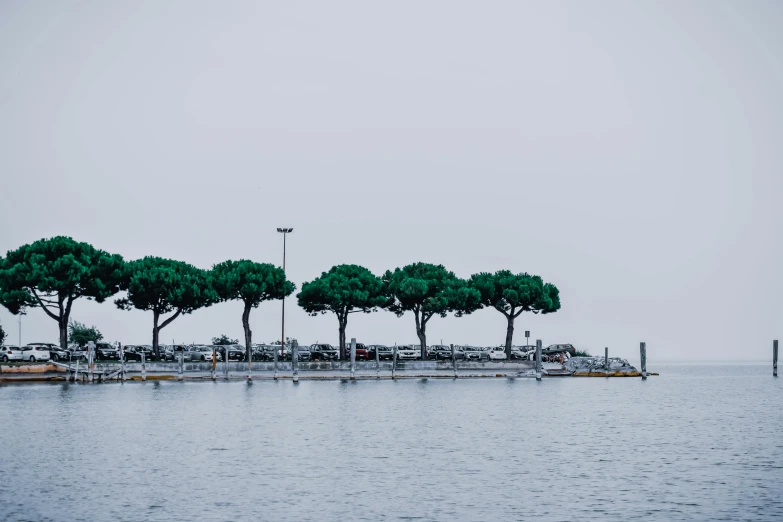 a group of trees sitting on top of a body of water, a picture, pexels contest winner, hyperrealism, harbour, minimalissimo, street photo, scientific photo