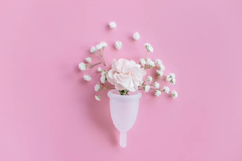 white flowers in a vase on a pink background, by Andries Stock, pexels contest winner, plasticien, surgical iv drip, background image, cone shaped