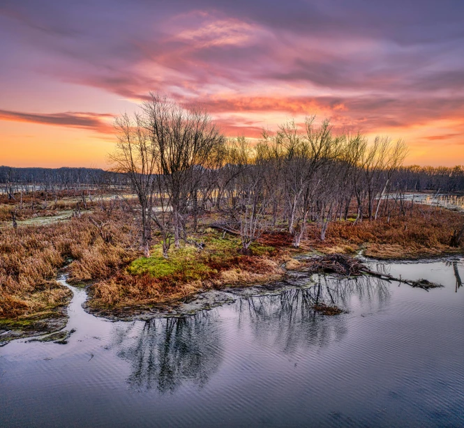 a body of water surrounded by grass and trees, by Robert Storm Petersen, pexels contest winner, sunrise colors, subsiding floodwaters, winter setting, wide high angle view