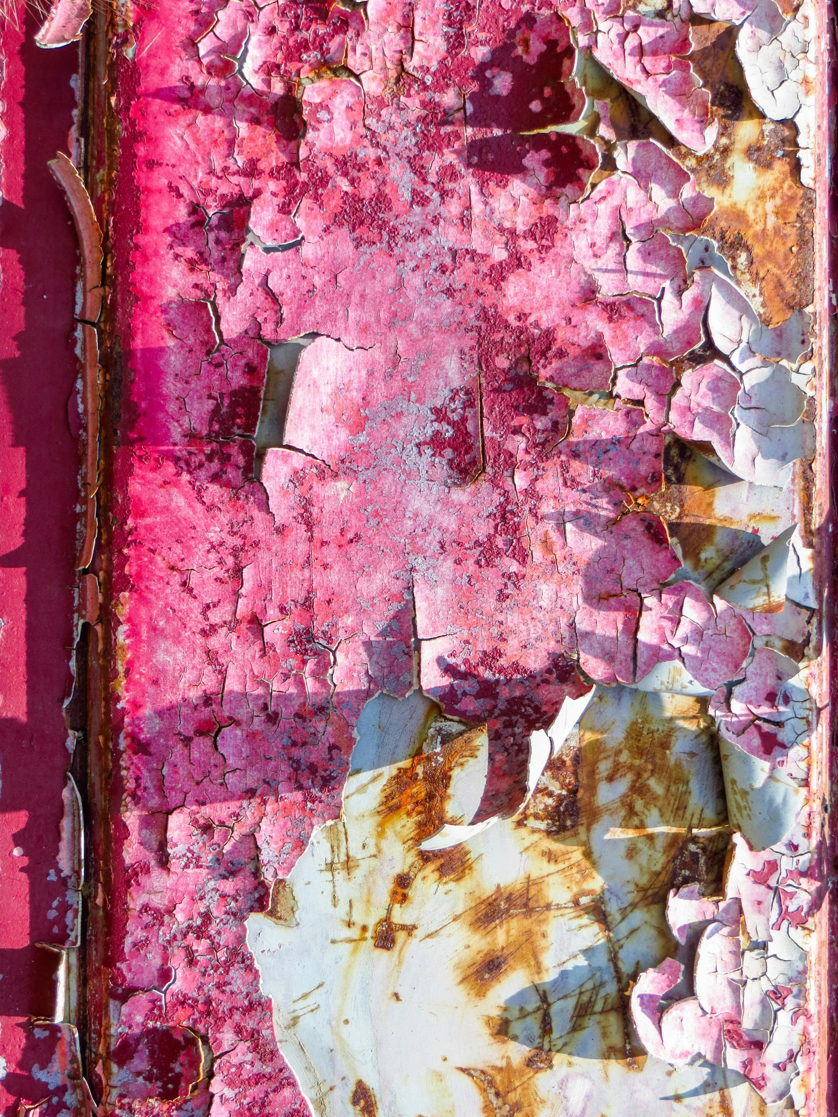 a close up of peeling paint on a wall, inspired by Julian Schnabel, pink sunlight, metal plate photograph, ((pink)), promo image