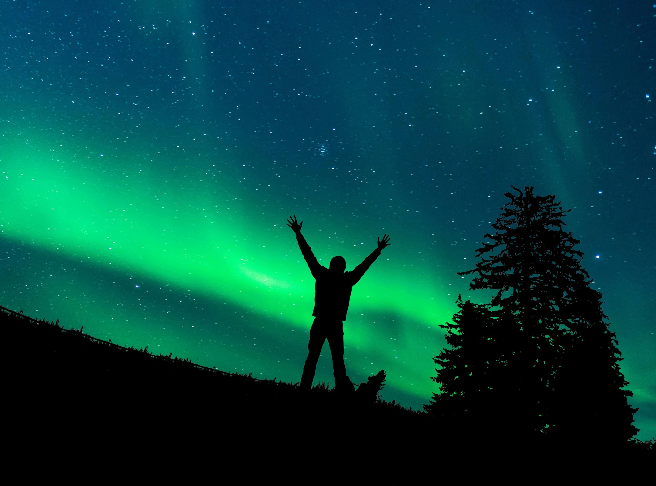 a person standing on a hill with their arms in the air, pexels contest winner, northen lights background, national geographics, star walk, ecstatic expression