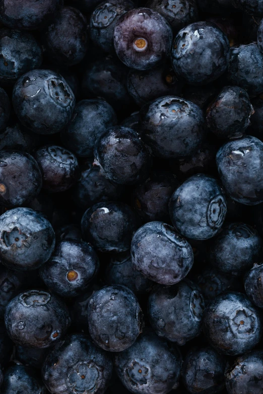 a close up of a bunch of blueberries, trending on unsplash, 2 5 6 x 2 5 6 pixels, f/8.0, multi - layer, full width