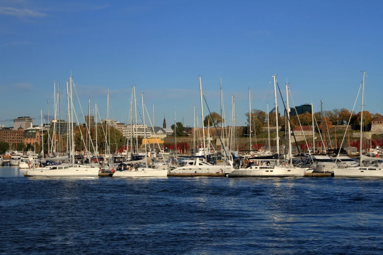 a number of boats in a body of water, by karlkka, happening, city views, sailboats in the water, thumbnail, during autumn