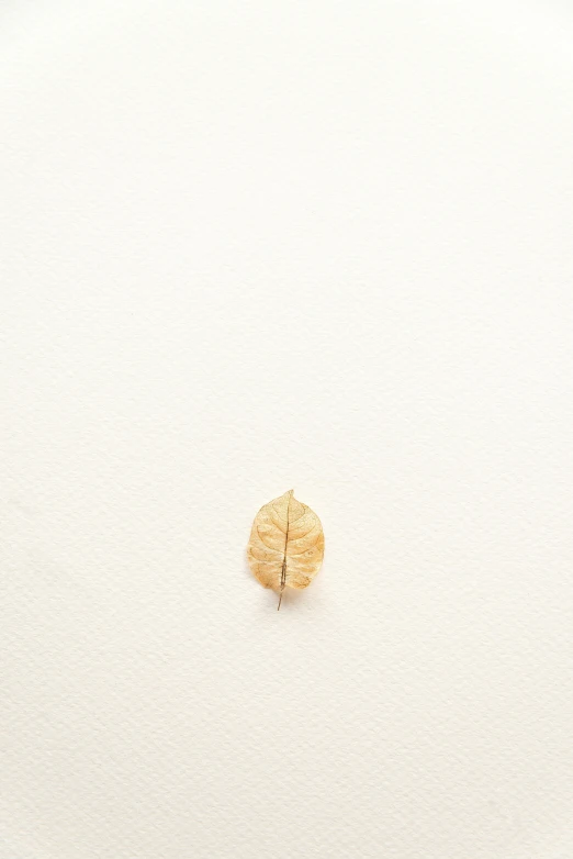 a close up of a piece of food on a plate, a minimalist painting, by Rebecca Horn, trending on unsplash, postminimalism, made of leaf skeleton, 256x256, gold earring, brown