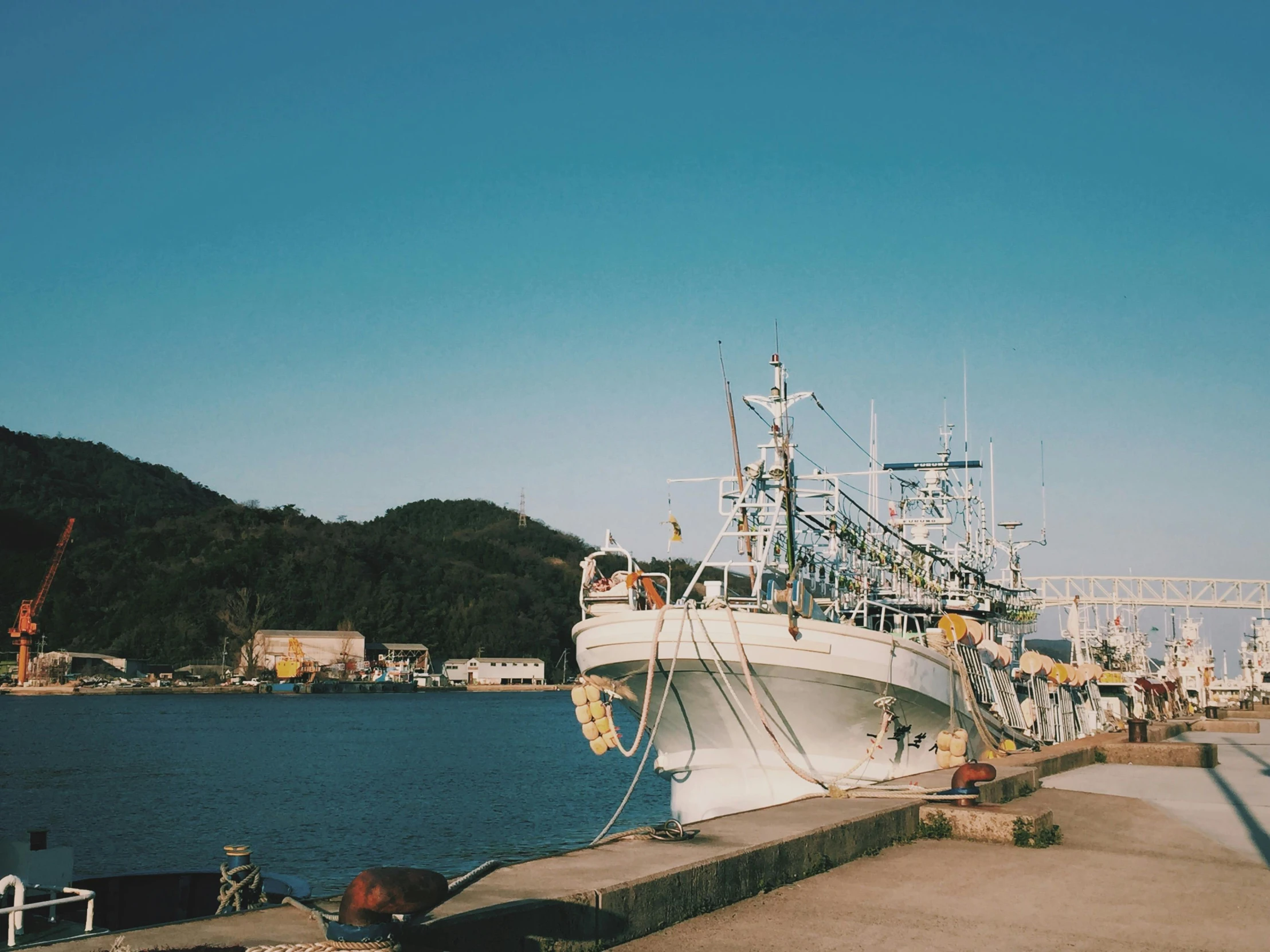 a large white boat sitting on top of a body of water, by Yasushi Sugiyama, pexels contest winner, docked at harbor, ishikei, trending on vsco, fish seafood markets