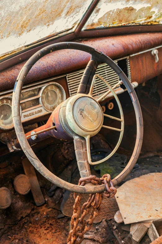 an old car that is sitting in the dirt, unsplash, auto-destructive art, paws on steering wheel, a photograph of a rusty, high quality photo, taken in the late 2010s